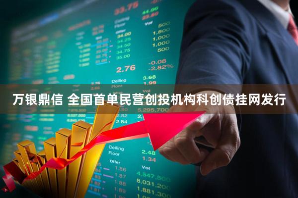万银鼎信 全国首单民营创投机构科创债挂网发行